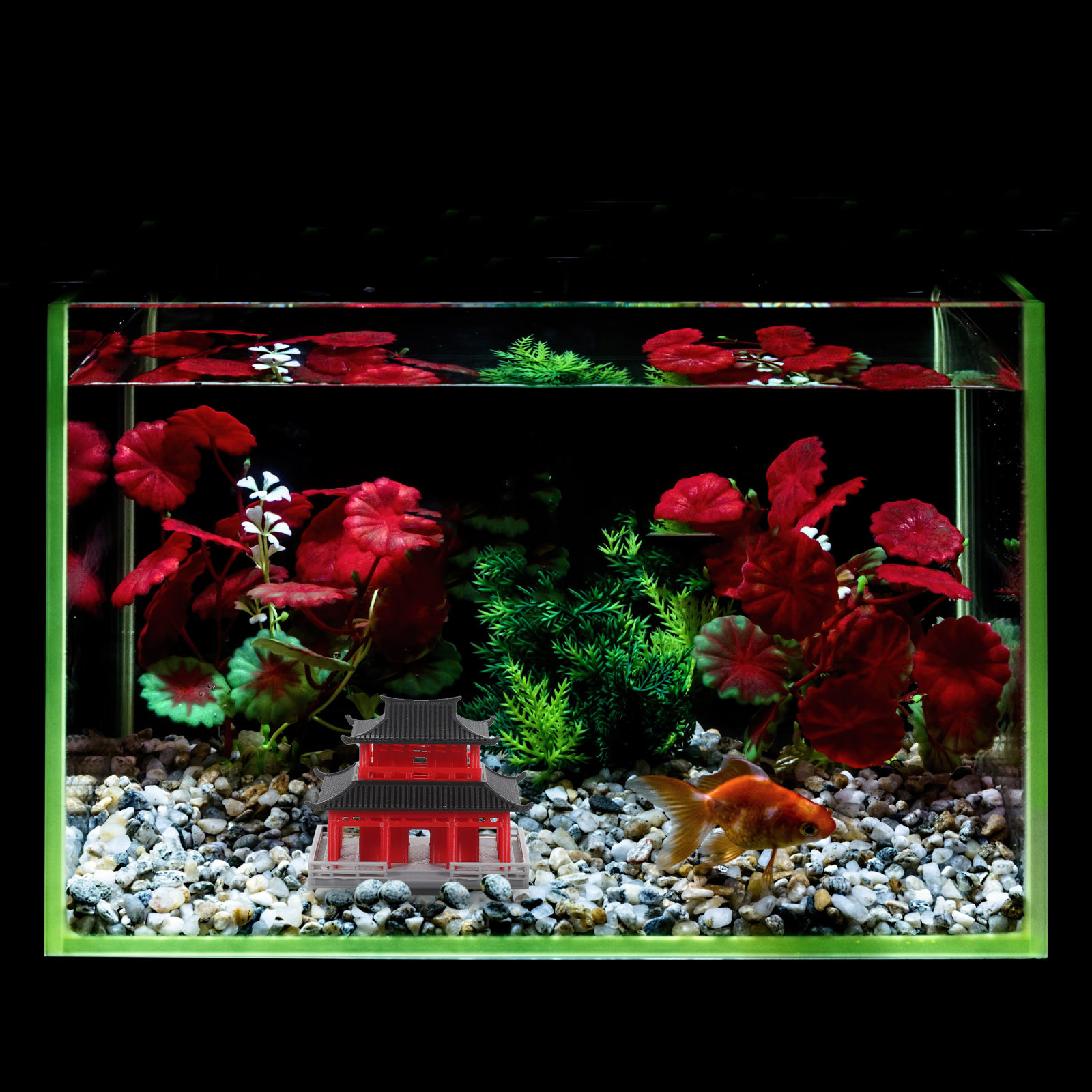 برج بافيليون صغير، زينة حوض ال - مراجعة Aquarium & Marine Museum Universiti Malaysia Sabah Kota Kinabalu Sabah Reviews وسعره