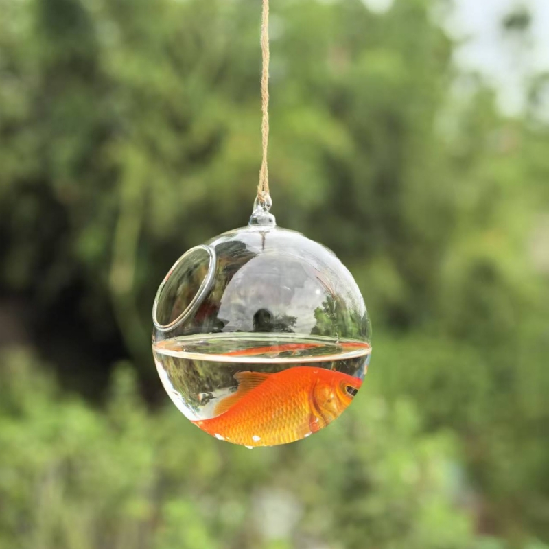 حوض سمك زجاجي شفاف بقطر تغليف  - مراجعة Aquarium & Marine Museum Universiti Malaysia Sabah Kota Kinabalu Sabah Reviews وسعره