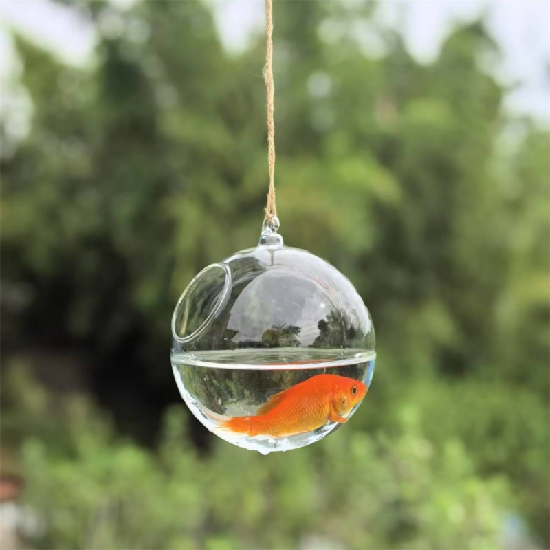 حوض سمك زجاجي شفاف بقطر تغليف  - مراجعة Aquarium & Marine Museum Universiti Malaysia Sabah Kota Kinabalu Sabah Reviews وسعره